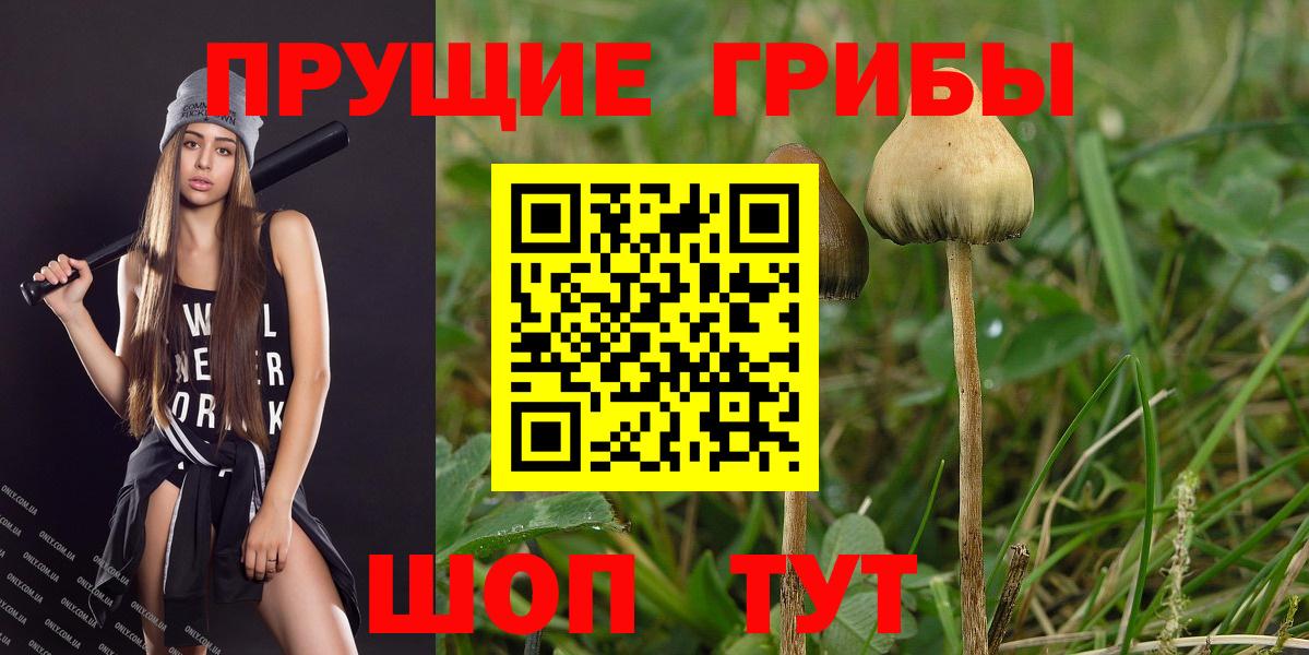 Галлюциногенные грибы мухоморы Домодедово